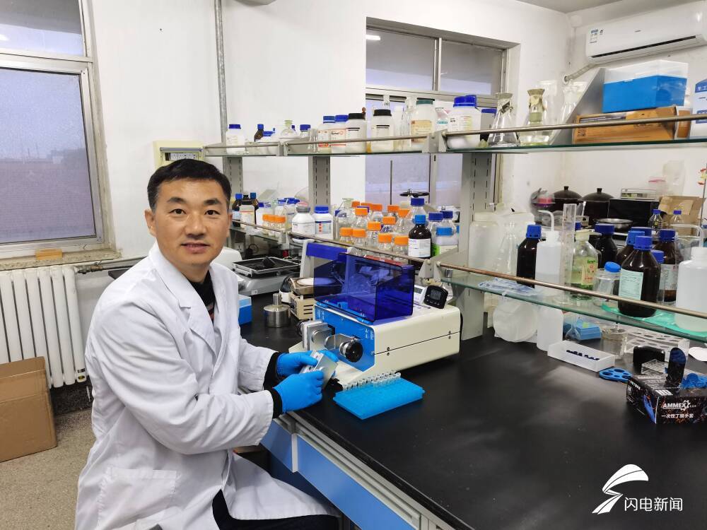 一種保健桑葉茶的制備方法 創(chuàng)新成果驅動健康農業(yè)發(fā)展